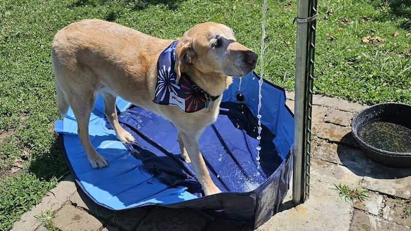 Elmo & Rosalea Marrs Memorial Dog Park - Branson, MO