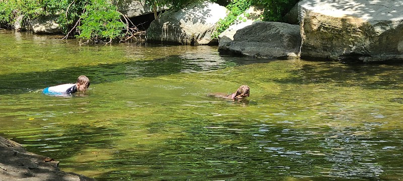 Elmo & Rosalea Marrs Memorial Dog Park - Branson, MO