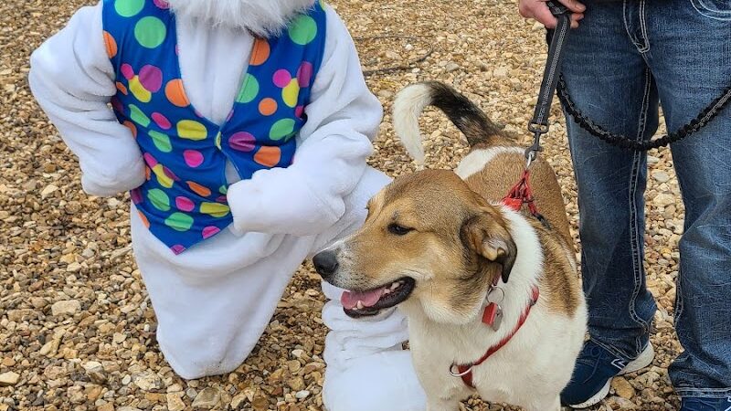 Elmo & Rosalea Marrs Memorial Dog Park - Branson, MO