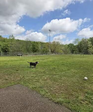 Elmo & Rosalea Marrs Memorial Dog Park - Branson, MO
