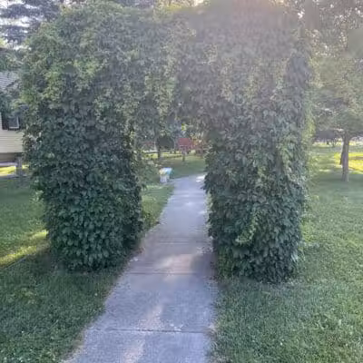 Birch Street Park - Breckenridge, MI