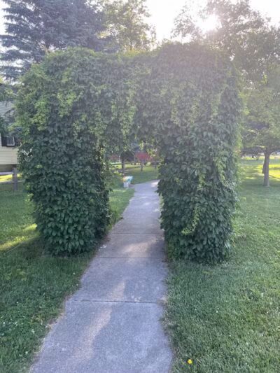 Birch Street Park - Breckenridge, MI