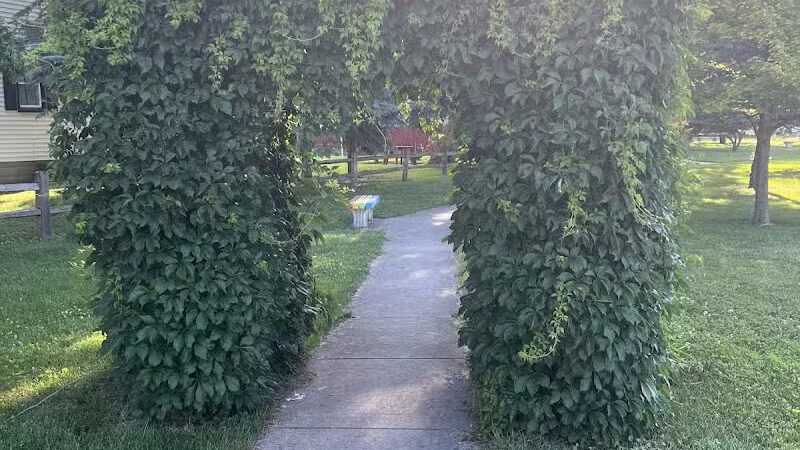 Birch Street Park - Breckenridge, MI