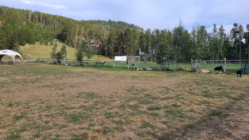 Carter Dog Park - Breckenridge, CO