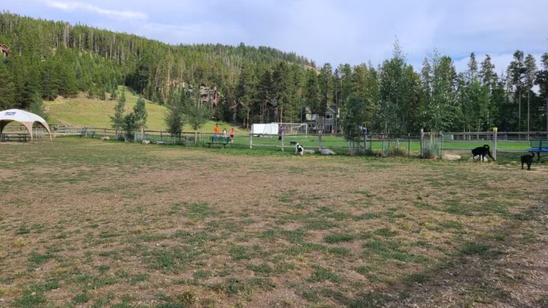 Carter Dog Park - Breckenridge, CO