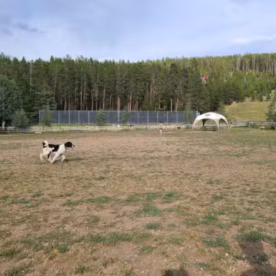 Carter Dog Park - Breckenridge, CO