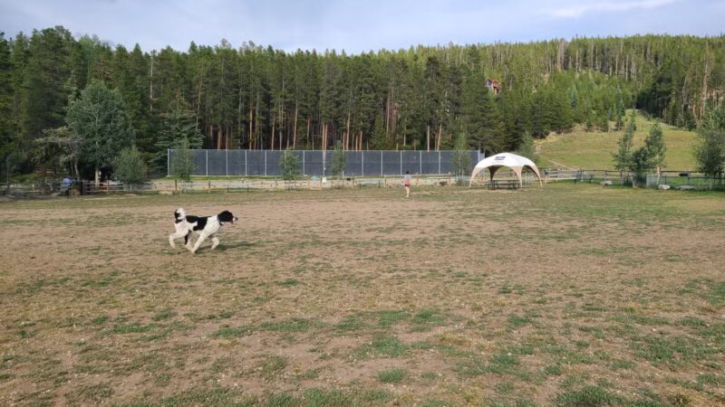 Carter Dog Park - Breckenridge, CO