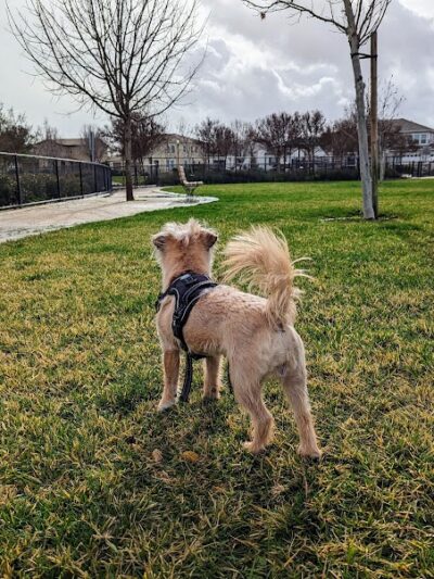 Dakota (Dog) Park - Brentwood, CA