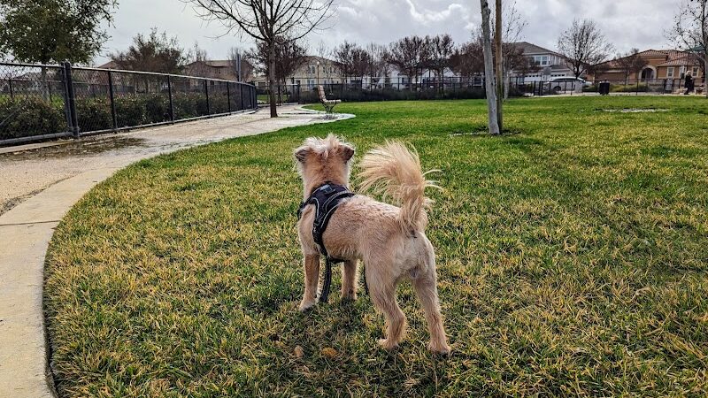 Dakota (Dog) Park - Brentwood, CA