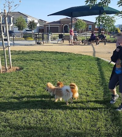 Dakota (Dog) Park - Brentwood, CA