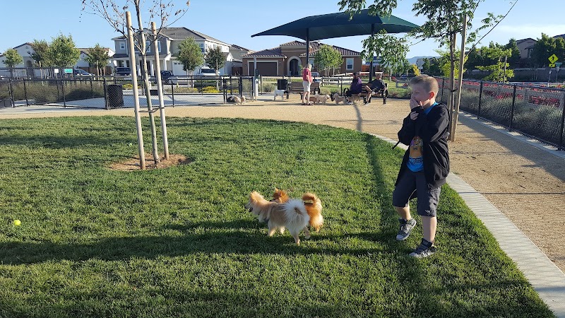 Dakota (Dog) Park - Brentwood, CA