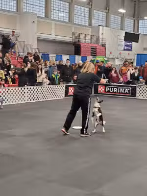 Long Island Pet Expo - Brentwood, NY