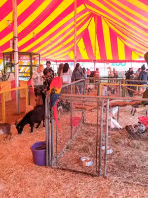 Park and ride - Brentwood, NY