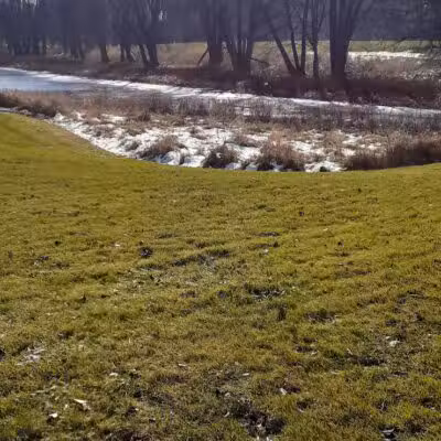 Davis Community Park - Bridgeport, MI