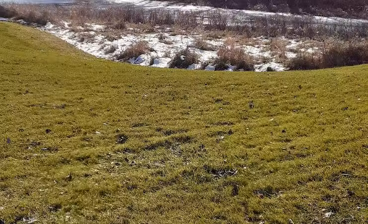 Davis Community Park - Bridgeport, MI