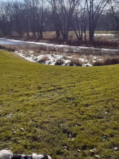 Davis Community Park - Bridgeport, MI