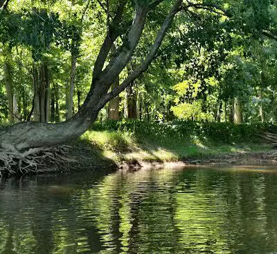 Davis Community Park - Bridgeport, MI