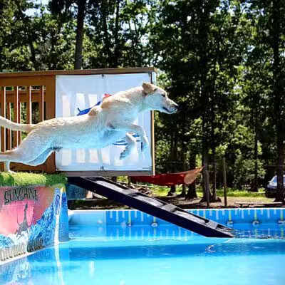 Sunshine Dog Park - Bridgeton, NJ