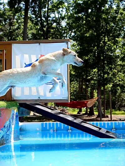 Sunshine Dog Park - Bridgeton, NJ