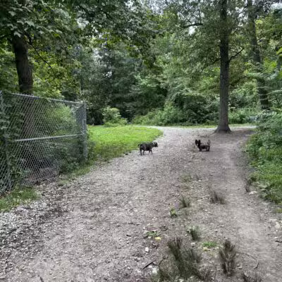 Bark Park: Off-Leash Dog Park & Nature Trail - Bridgeville, PA