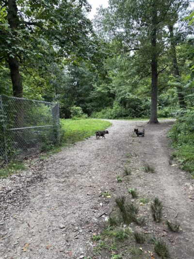 Bark Park: Off-Leash Dog Park & Nature Trail - Bridgeville, PA