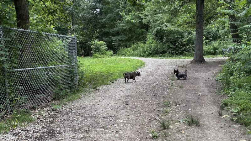 Bark Park: Off-Leash Dog Park & Nature Trail - Bridgeville, PA