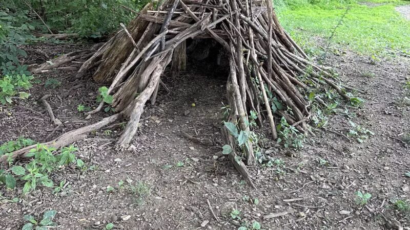 Bark Park: Off-Leash Dog Park & Nature Trail - Bridgeville, PA