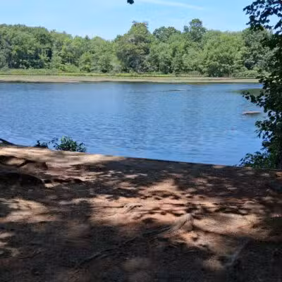 Carver's Pond - Bridgewater, MA