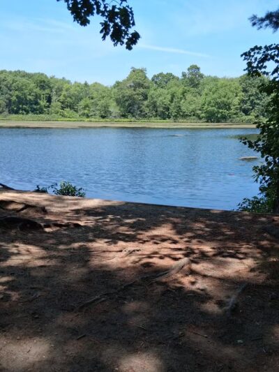 Carver's Pond - Bridgewater, MA