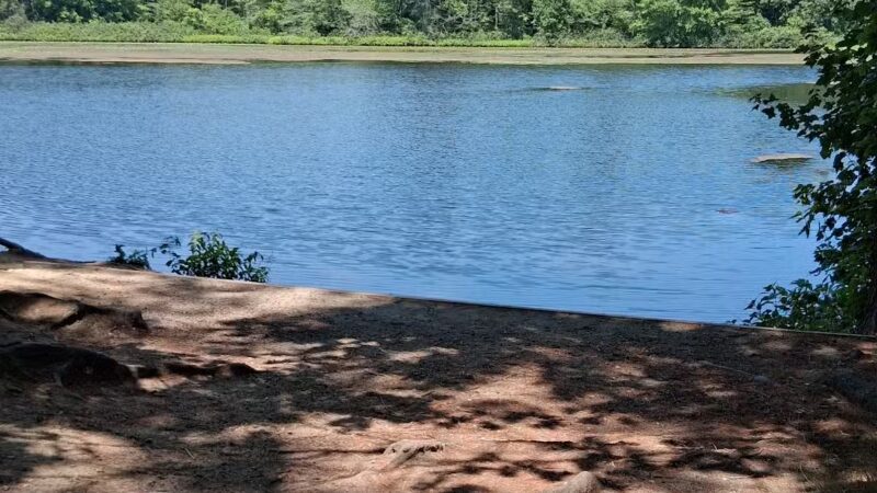 Carver's Pond - Bridgewater, MA