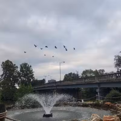 Edgebrier Park - Bridgewater, VA