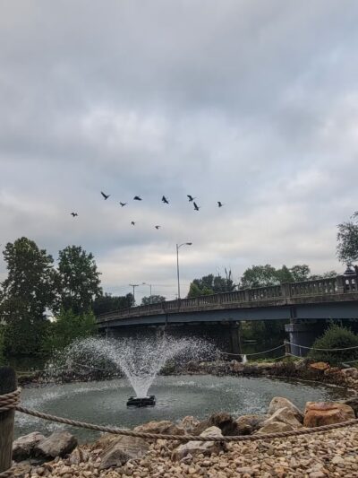 Edgebrier Park - Bridgewater, VA