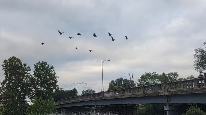 Edgebrier Park - Bridgewater, VA