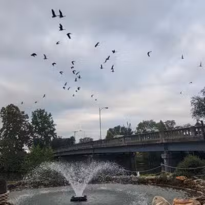 Edgebrier Park - Bridgewater, VA