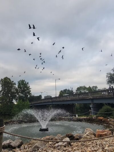 Edgebrier Park - Bridgewater, VA