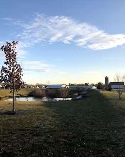 Whitelow Park - Bridgewater, VA