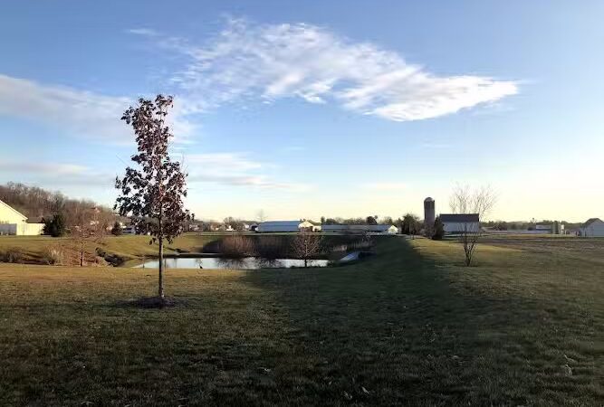 Whitelow Park - Bridgewater, VA