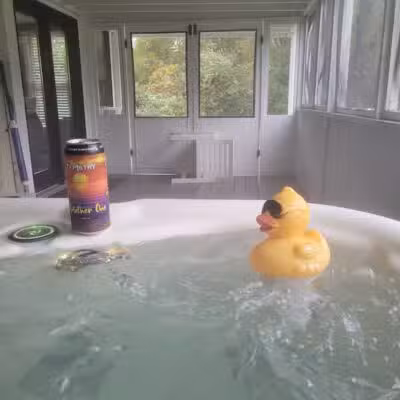 Birds of a Feather Lodge - Bridgman,