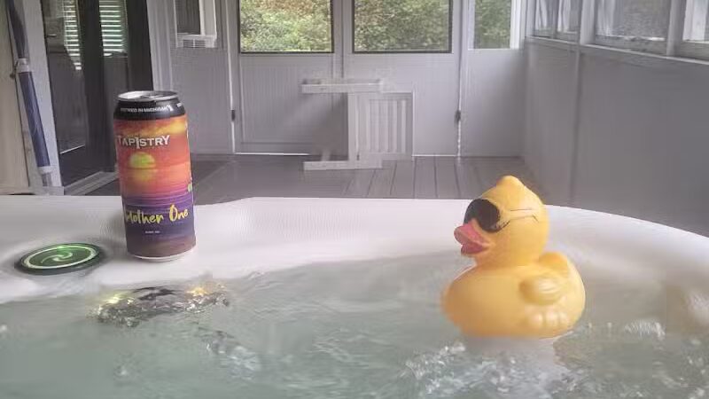 Birds of a Feather Lodge - Bridgman,