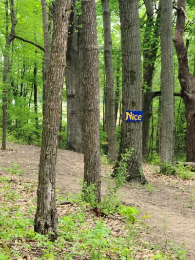 Lake Township Park - Bridgman,