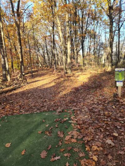 Lake Township Park - Bridgman,