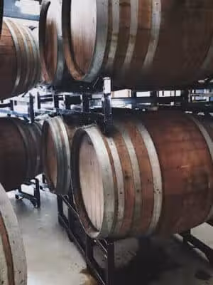 Transient Artisan Ales - Bridgman,