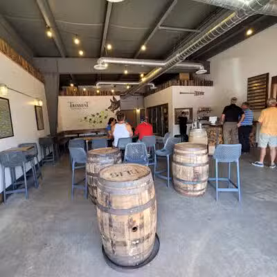 Transient Artisan Ales - Bridgman,