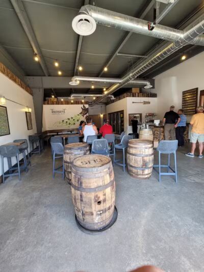 Transient Artisan Ales - Bridgman,