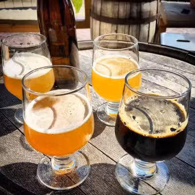 Transient Artisan Ales - Bridgman,