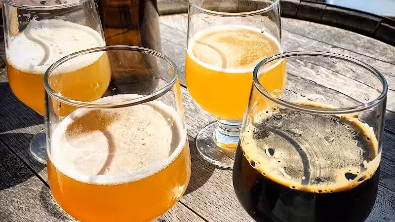 Transient Artisan Ales - Bridgman,