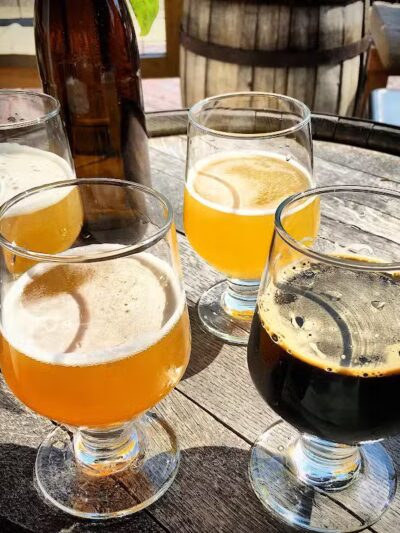 Transient Artisan Ales - Bridgman,