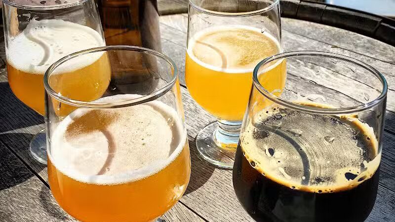 Transient Artisan Ales - Bridgman,