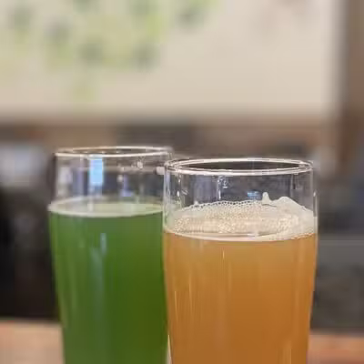 Transient Artisan Ales - Bridgman,
