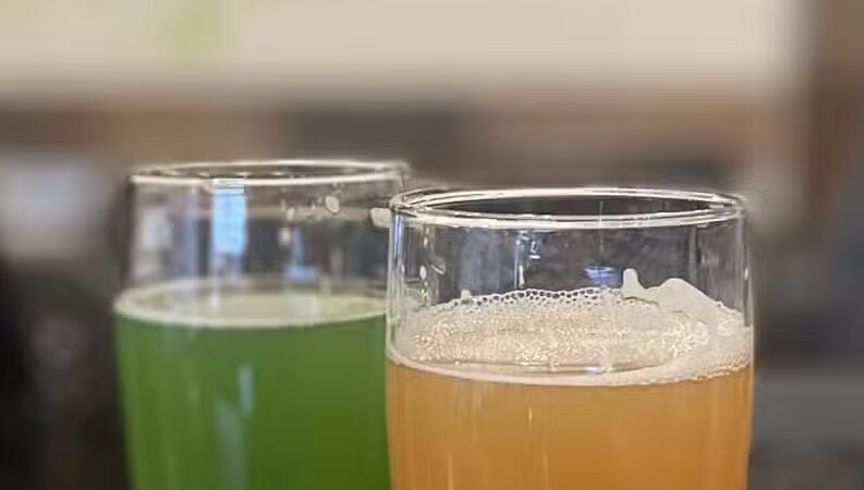 Transient Artisan Ales - Bridgman,